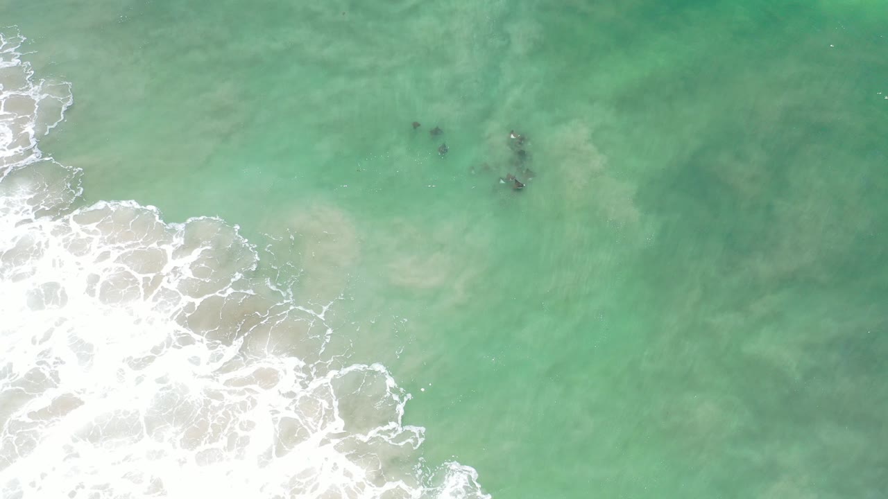 Overhead Los Cabos frame showing a small dark fish school in clear green water, white surf entering from the lower left, sandy shallows below, and no visible people.