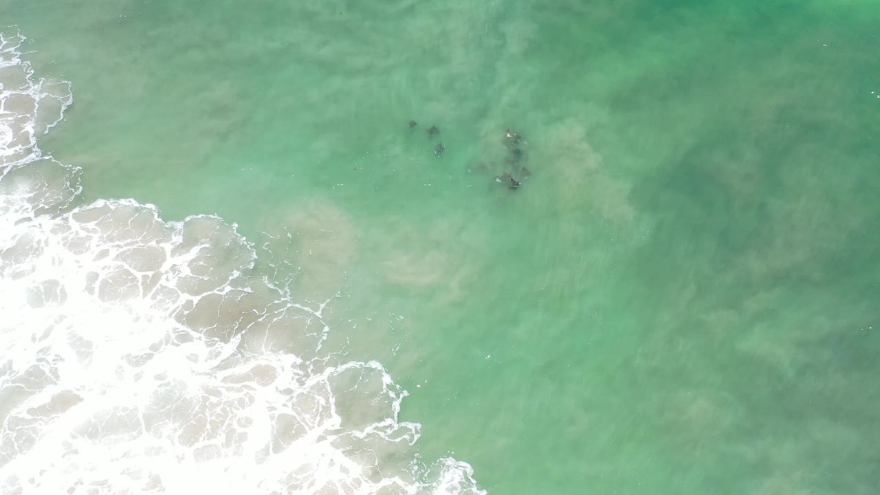Overhead Los Cabos view with the fish school near the upper center, pale sandy water beneath, white shore break along the left edge, and no visible people.