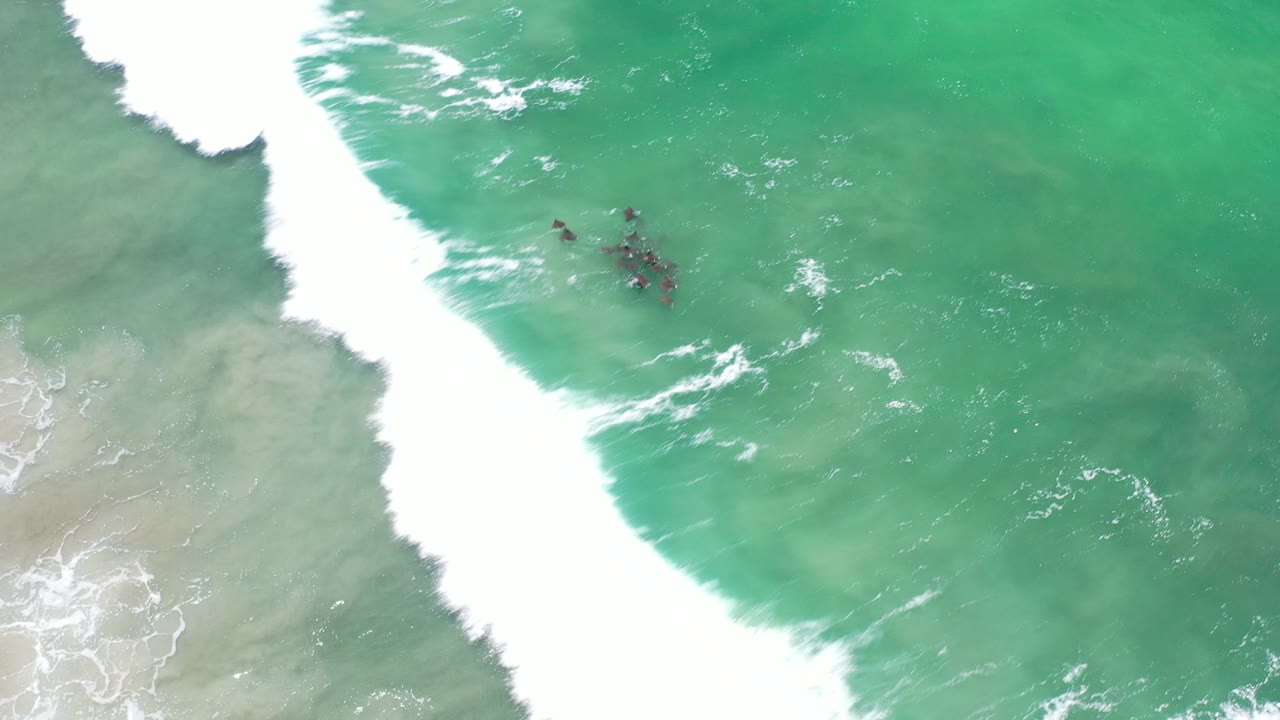 Overhead Los Cabos, Mexico view of a small group of people in green-tinted water as a wide band of white surf enters from the upper left.