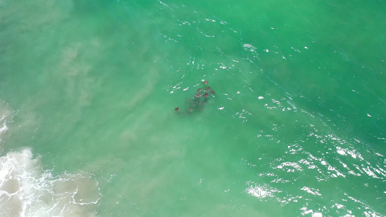 Overhead turquoise ocean with a small dark group of sea creatures near white surf.
