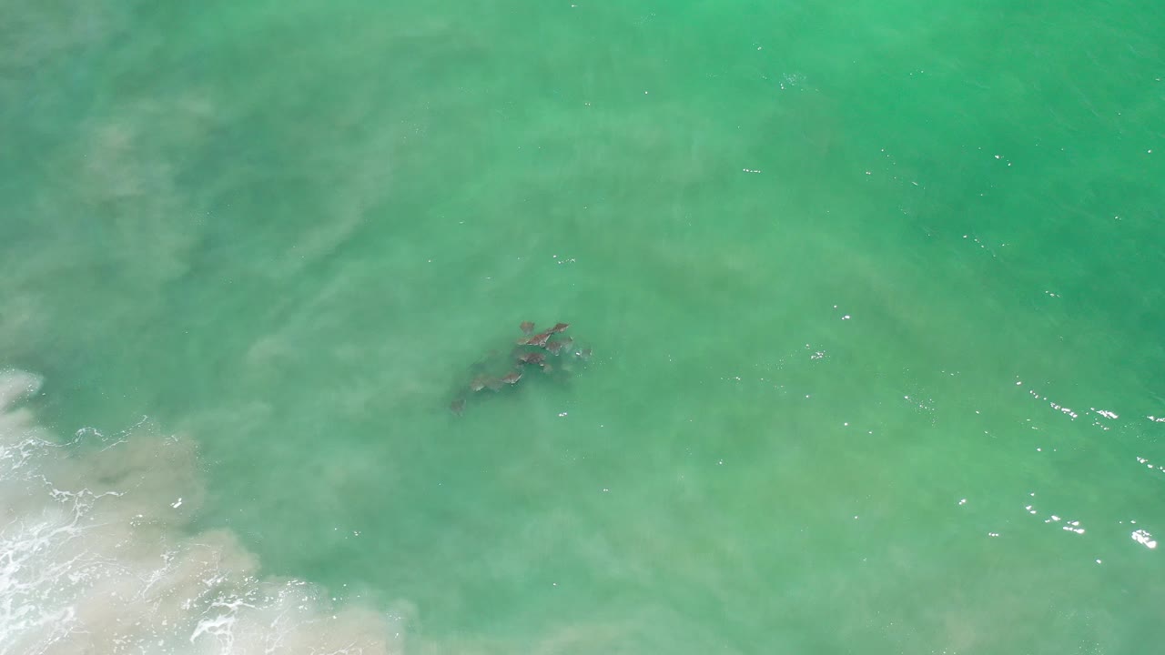 Overhead view of green turquoise ocean water in Los Cabos, Mexico, with a dark submerged patch near center left, pale foam at the lower left, and no visible people.