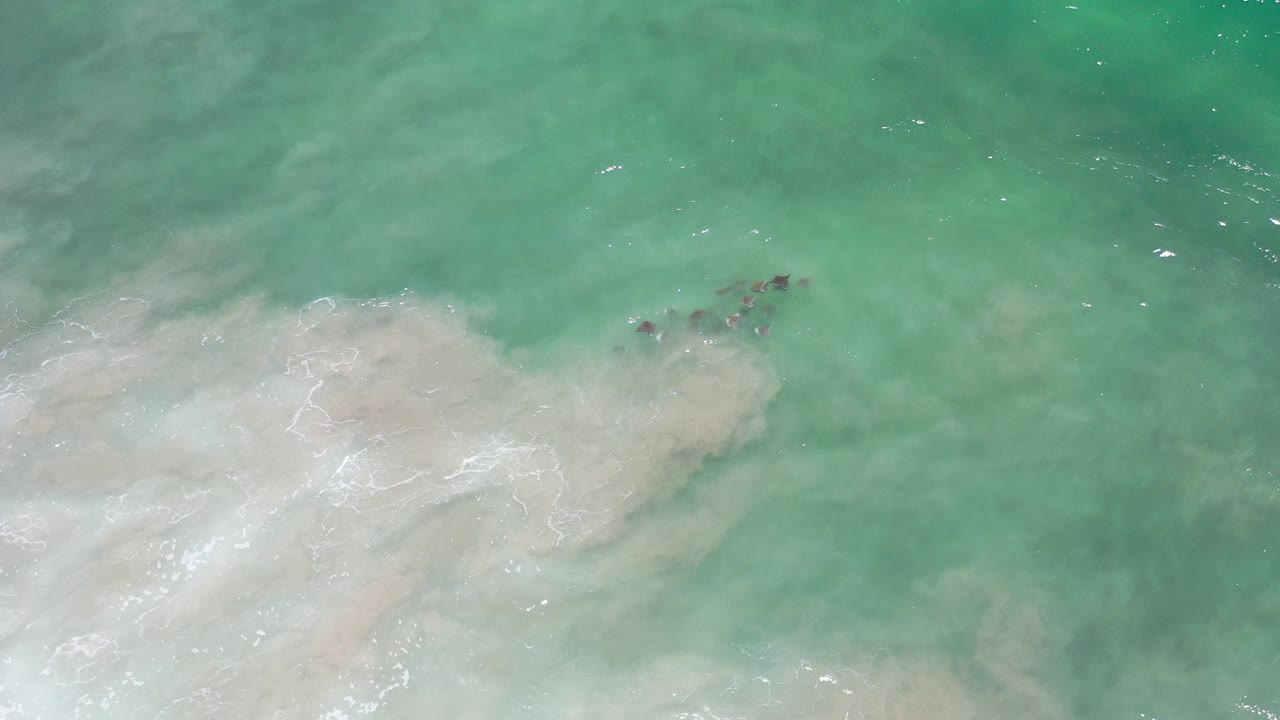 Overhead green sea with pale surf and a dark whale shape near the edge.