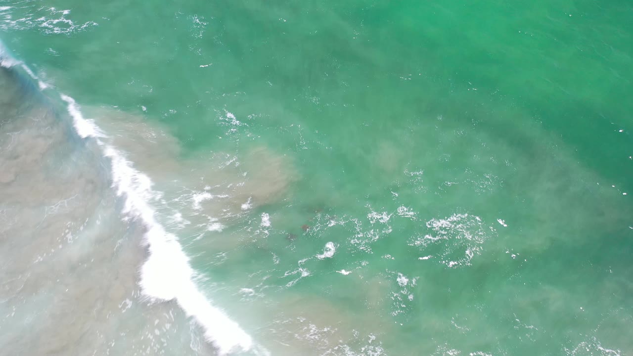 Aerial Los Cabos surf frame with white foam along the left edge, translucent green water, pale sand, and faint dark animal shapes under the surface with no visible people.