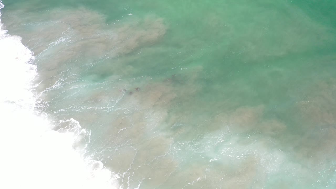 Overhead teal water with white surf along the left edge.