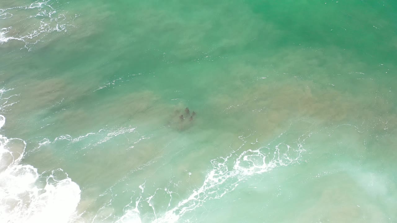 Aerial overhead frame from Los Cabos, Mexico, showing diagonal white foam lines across aqua water and a cluster of dark forms under the surface, no visible people.