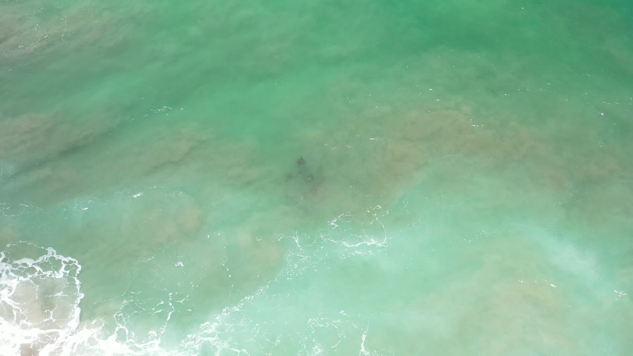 Overhead green ocean water with light foam at the lower edge.