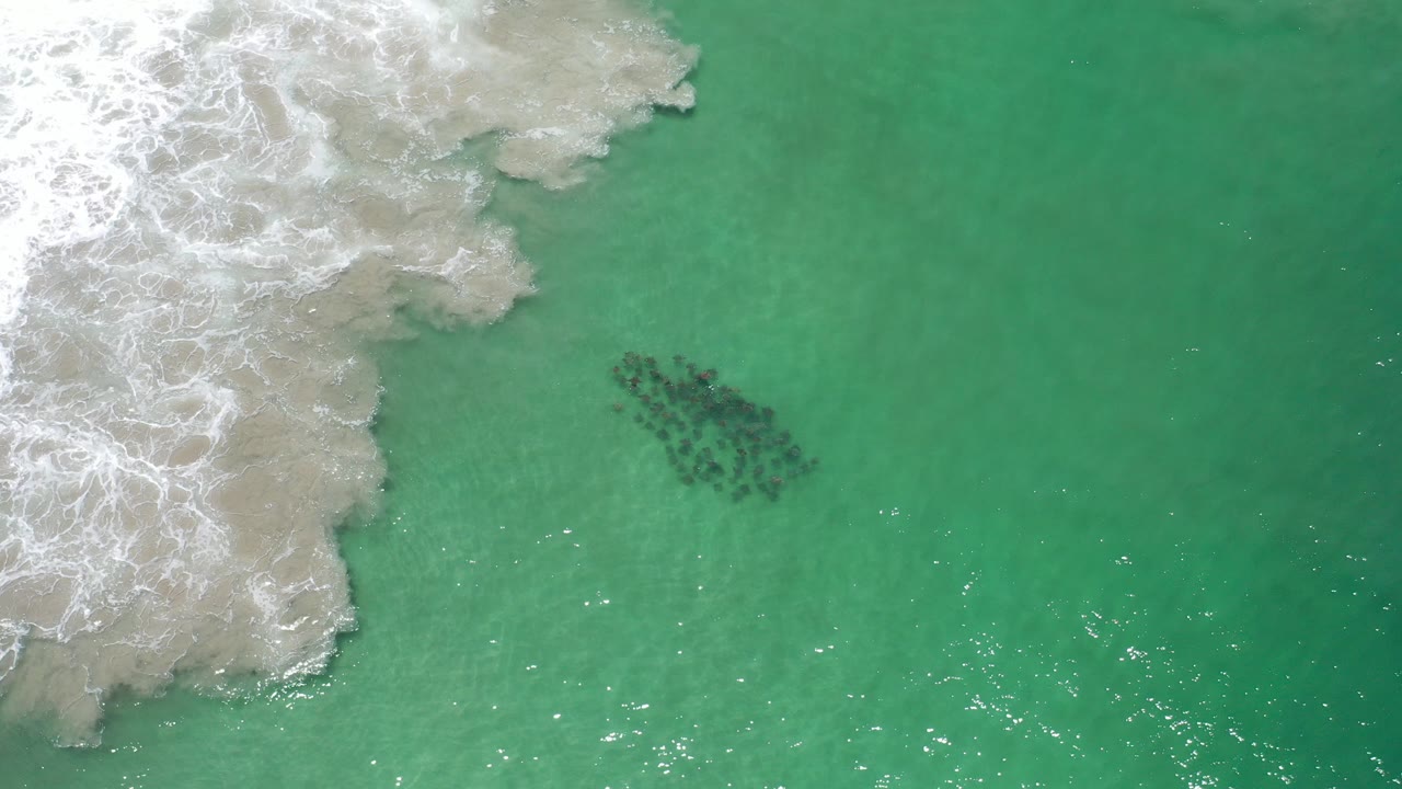 Overhead Los Cabos frame showing a dark school of fish in clear green water beside broad white surf on the left, with no visible people.