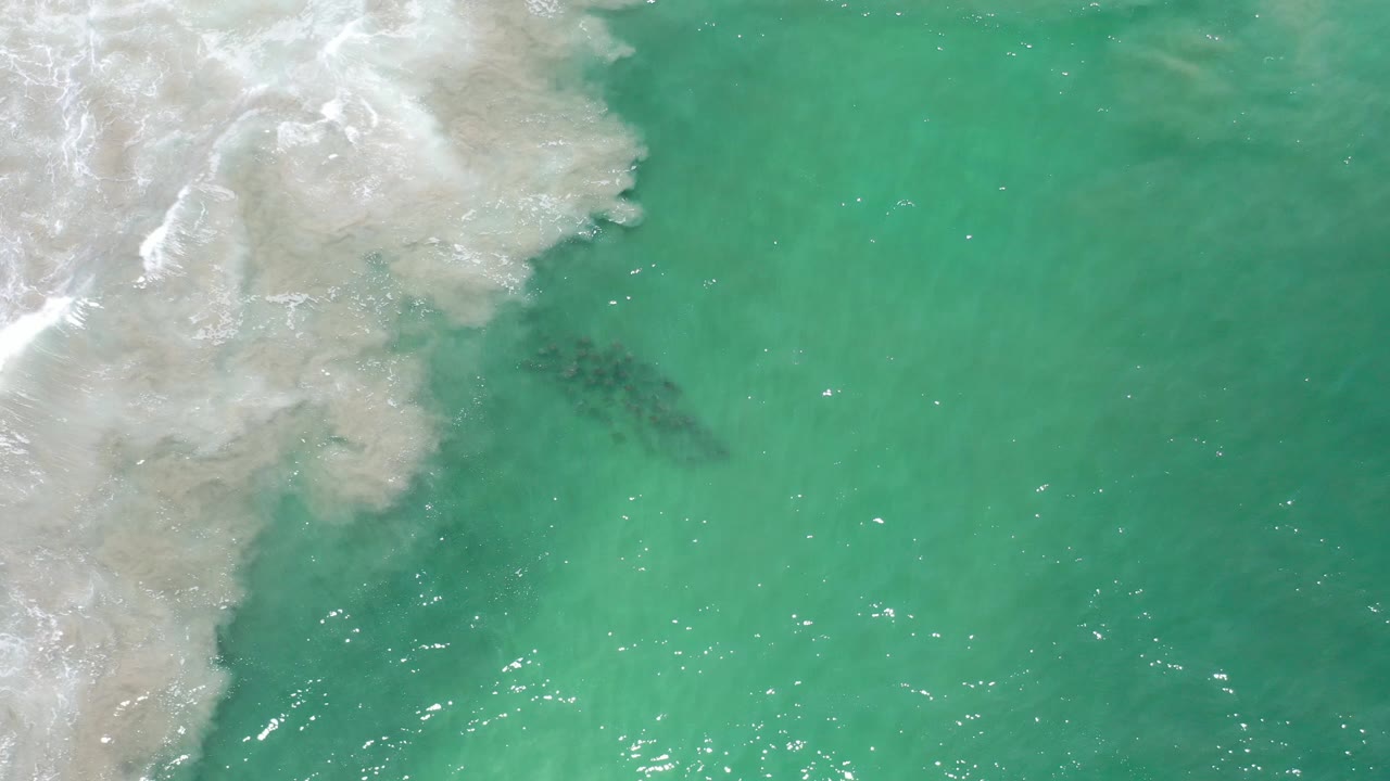 Turquoise ocean water with white breaking surf along the left edge.