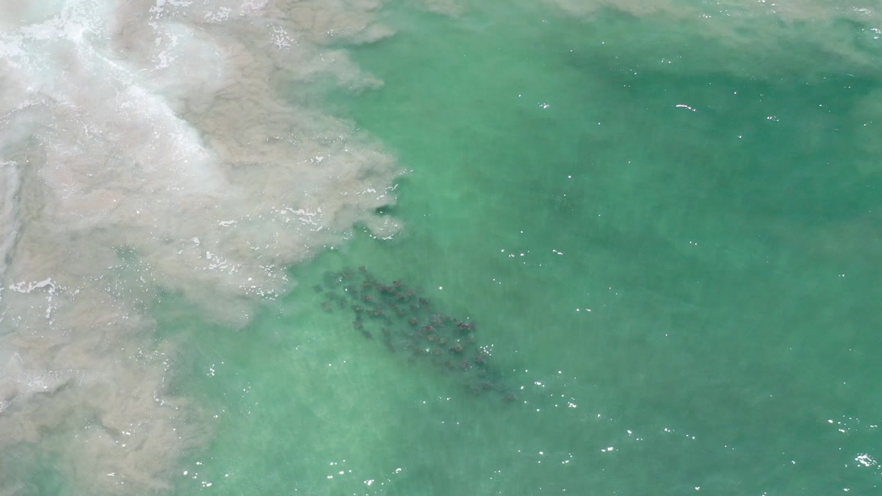 Overhead view in Los Cabos, Mexico, showing pale surf wash at upper left, clear turquoise water, a dark cluster of fish below the surface, and no visible people.