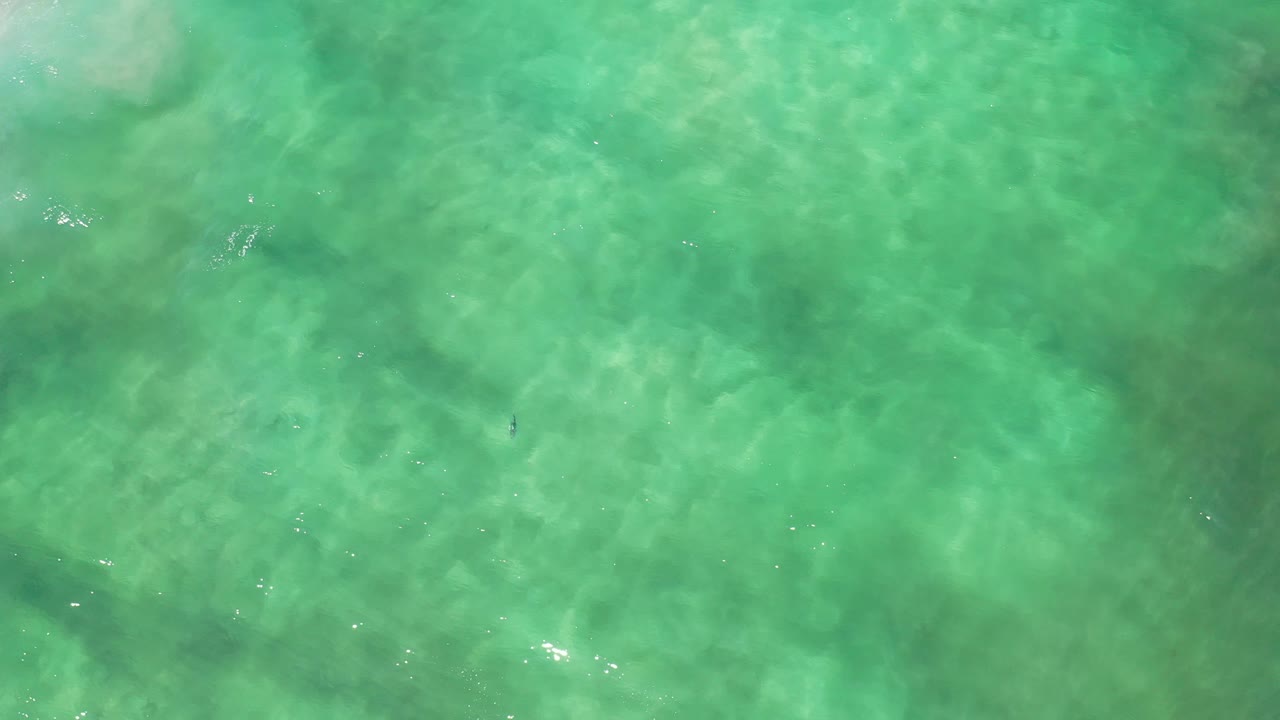 Turquoise water with a small white glint on the surface.