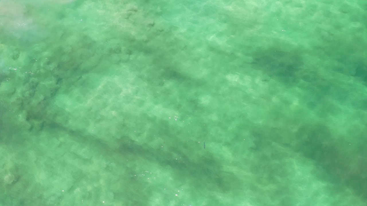 Clear green-blue water in Los Cabos, Mexico, fills the frame with soft ripples, submerged texture, and no visible people.