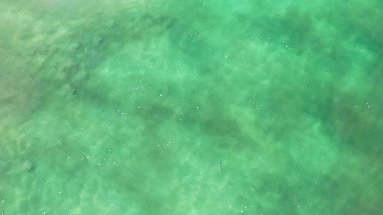 Top-down view of green seawater in Los Cabos, Mexico, with pale seabed texture and no visible people.