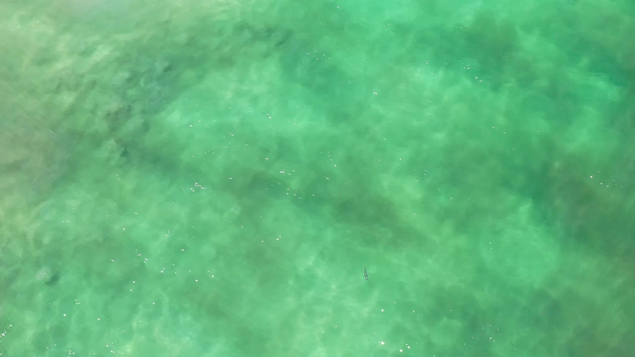 Overhead Los Cabos seawater with soft ripples, darker underwater patches, and no visible people.