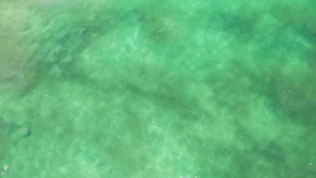 Light green water with small sparkles on the surface.