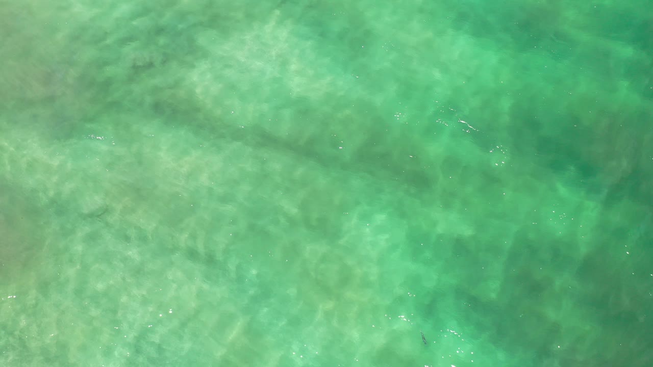 Overhead Los Cabos ocean water appears bright green with cloudy sand texture below the surface and no visible people.