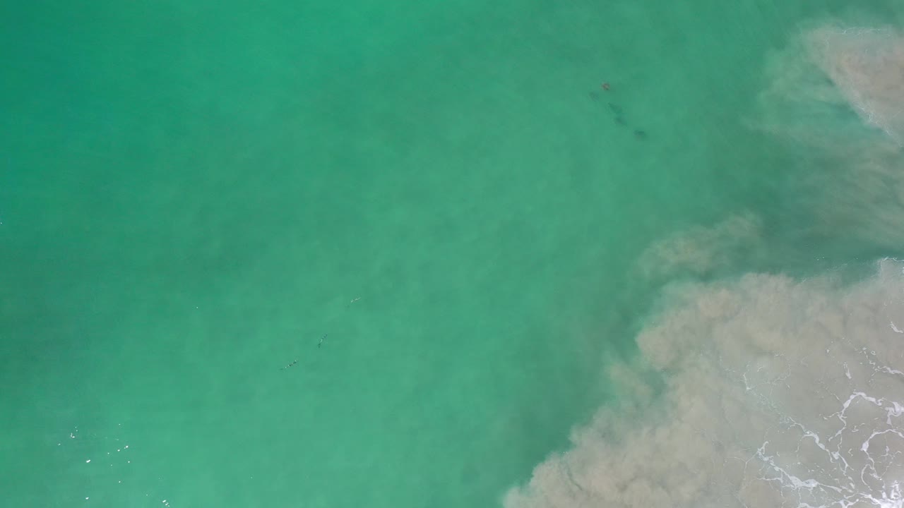 Overhead view of green-turquoise ocean water in Los Cabos, Mexico, with pale cloudy surf texture along the right edge and no visible people.