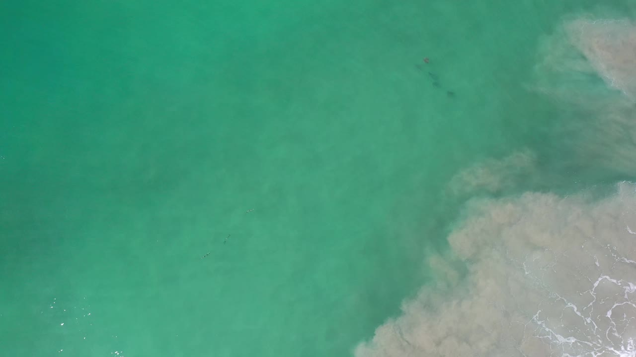 High overhead frame of Los Cabos ocean water with soft green color, cloudy pale water on the right, and no visible people.