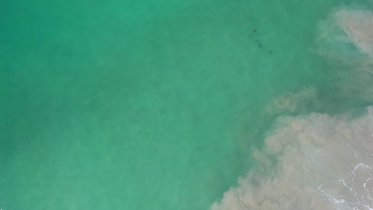 Overhead ocean surface with faint dark shapes beneath the water.