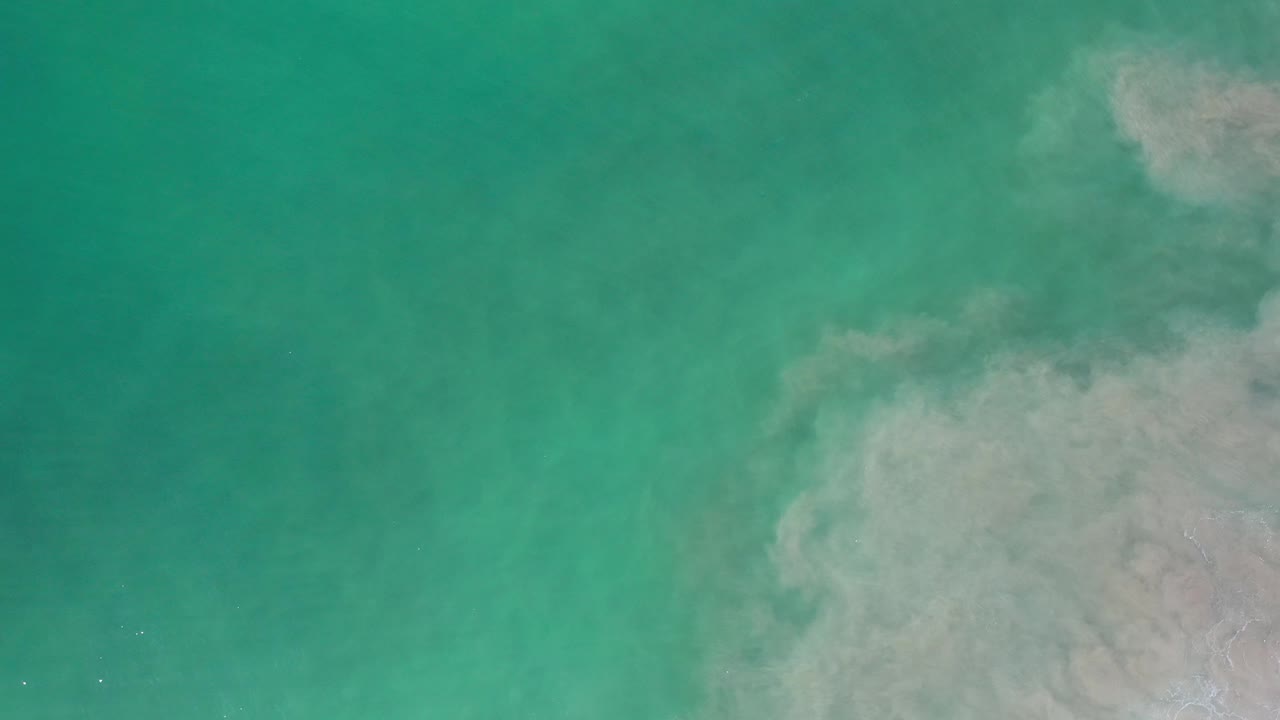 Aerial view of green water and soft muddy shallows.