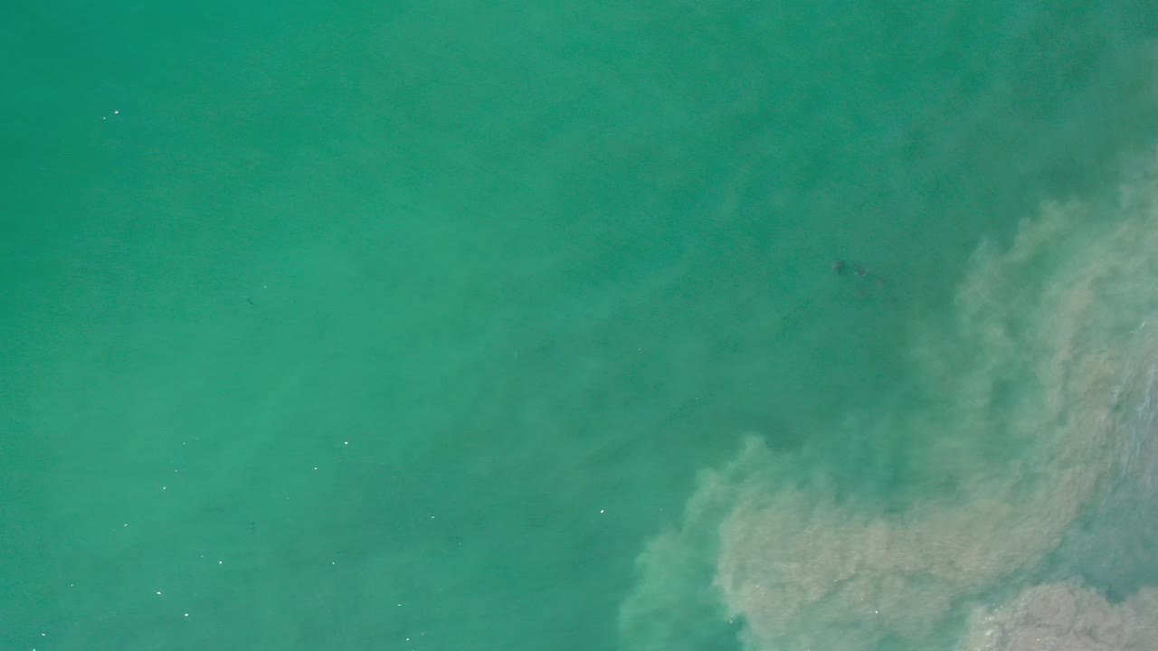 Overhead view of turquoise green seawater in Los Cabos, Mexico, with a pale cloudy patch entering from the lower right and no visible people.