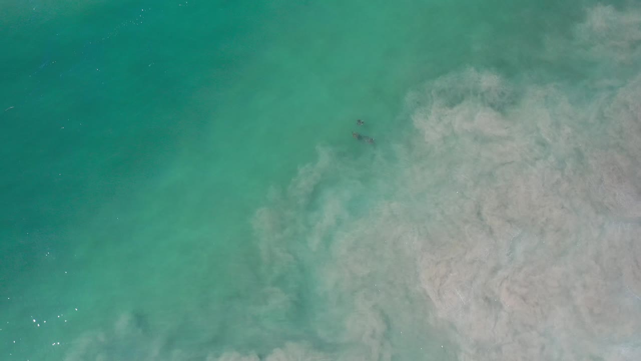 Opaque gray cloud mixes with green-blue water.