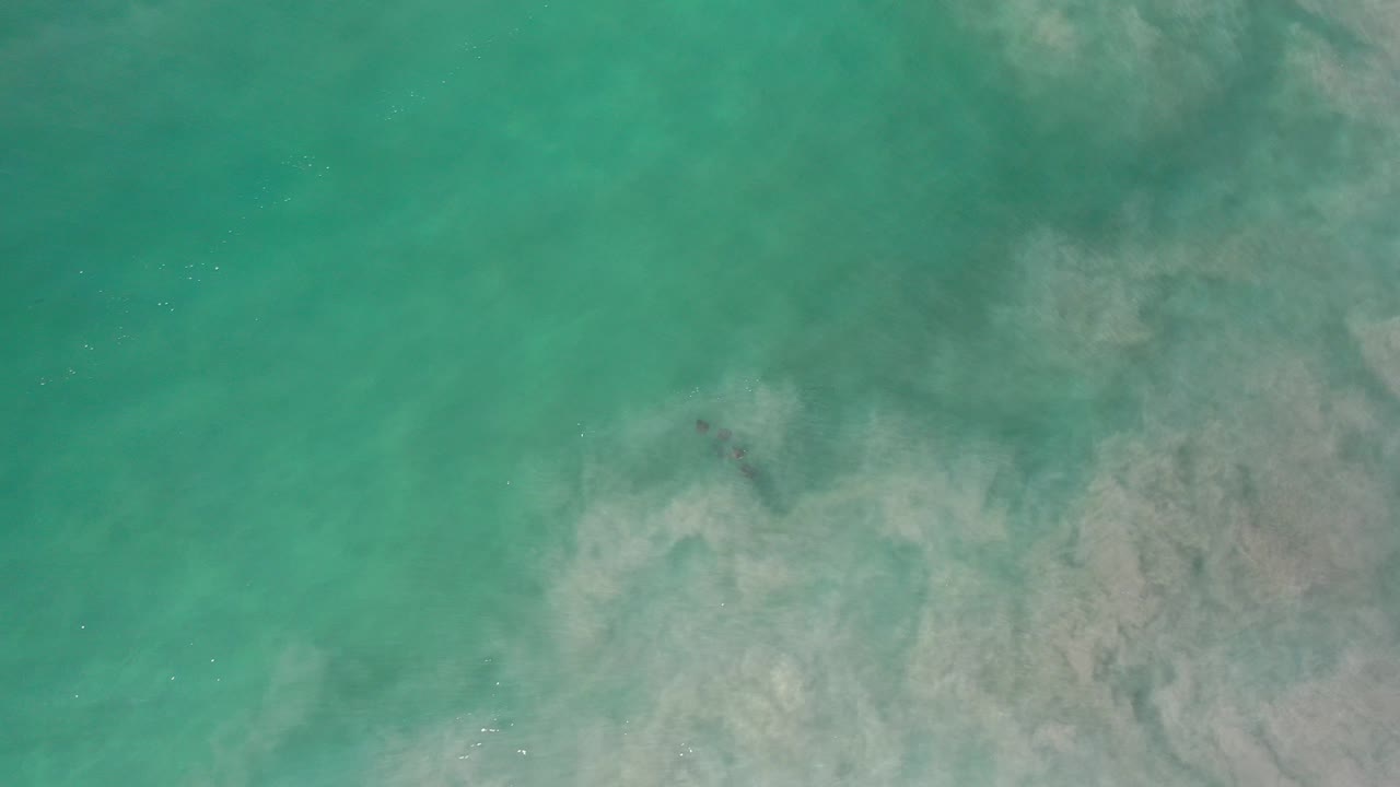 Overhead view of green seawater in Los Cabos, Mexico, with pale cloudy seabed texture and no visible people.