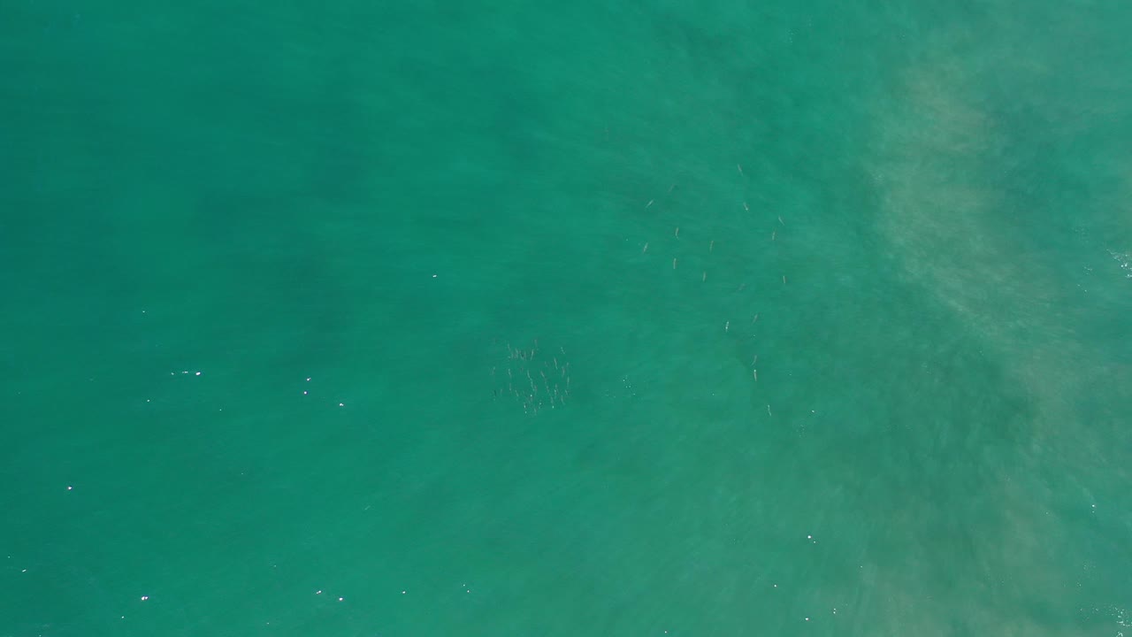 Top-down view of green-tinted ocean water in Los Cabos, Mexico, with soft pale patches below the surface and no visible people.