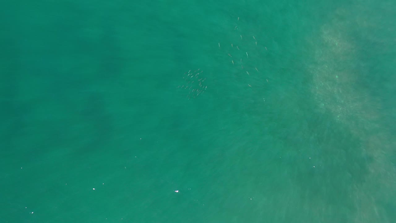 Turquoise ocean water with small white specks.