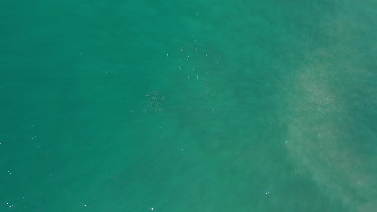 Overhead view of green ocean water in Los Cabos, Mexico, with faint pale underwater patches and no visible people.