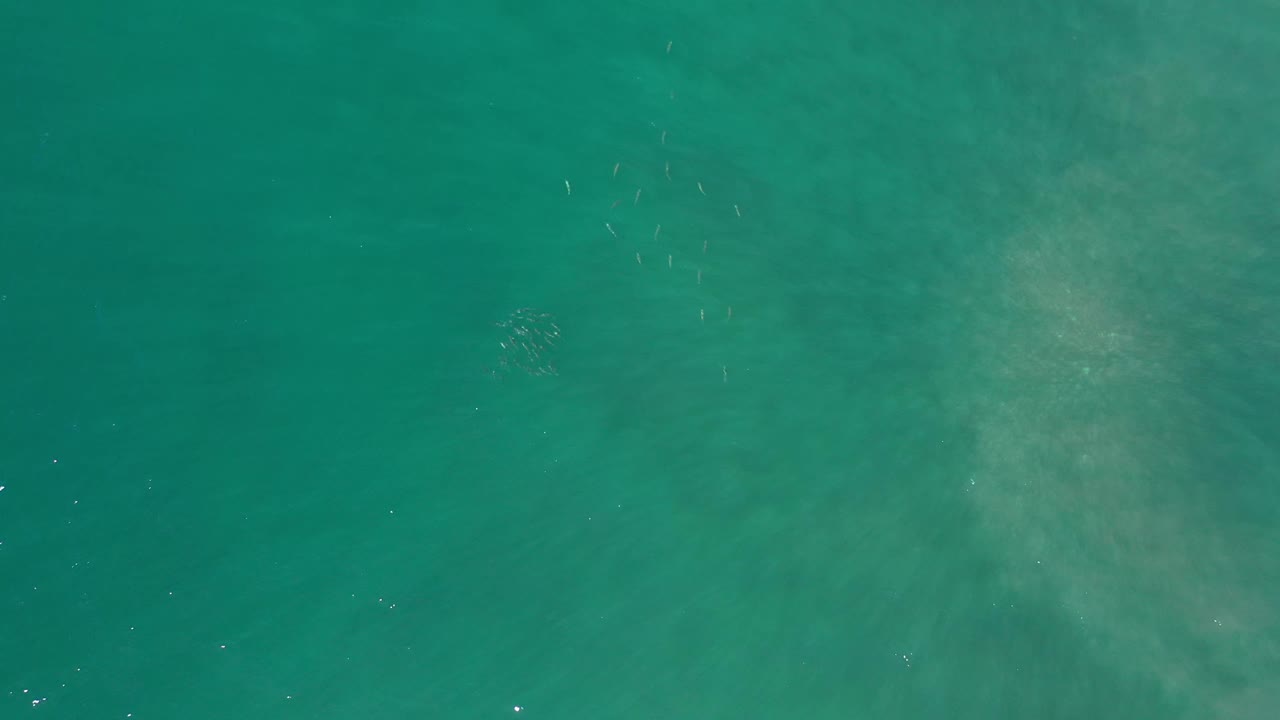 Overhead Los Cabos ocean frame with a broad soft pale area under the green surface and no visible people.