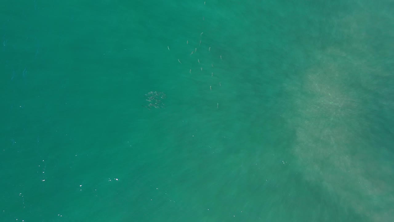 Aerial green water with scattered highlights and pale texture.