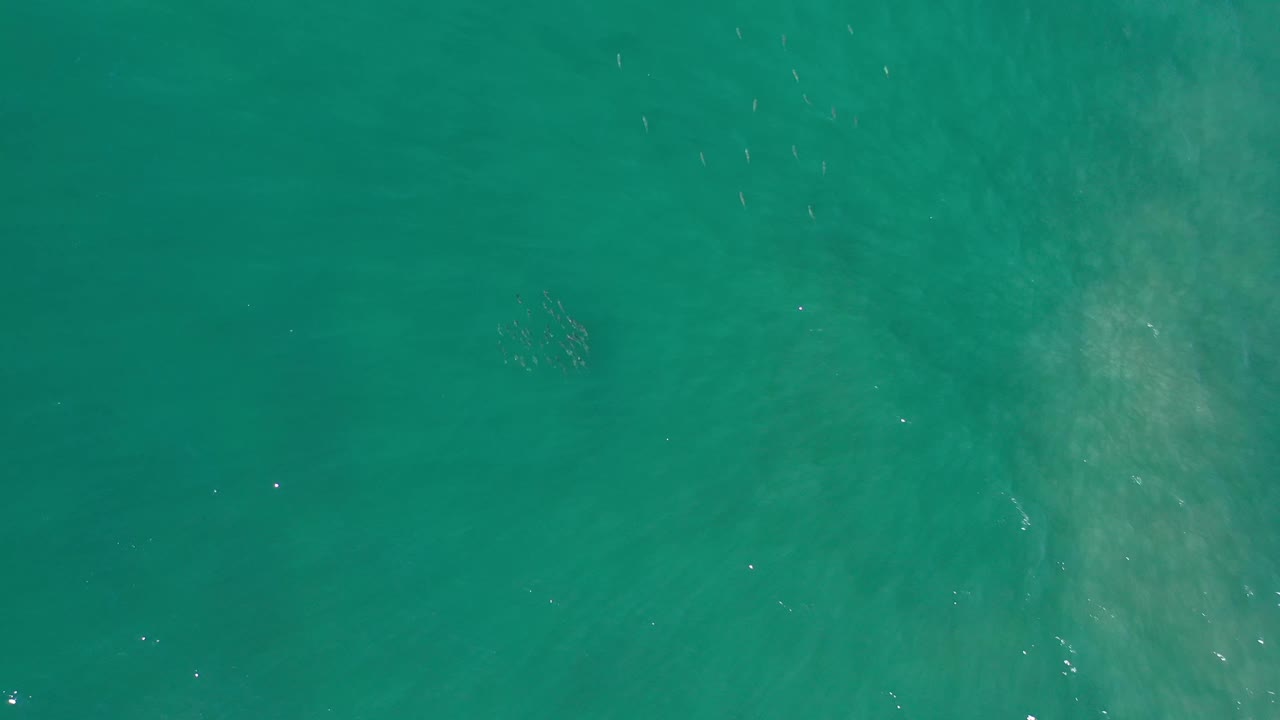 Clear green-blue ocean water in Los Cabos, Mexico, seen from above with faint sand patches under the surface and no visible people.