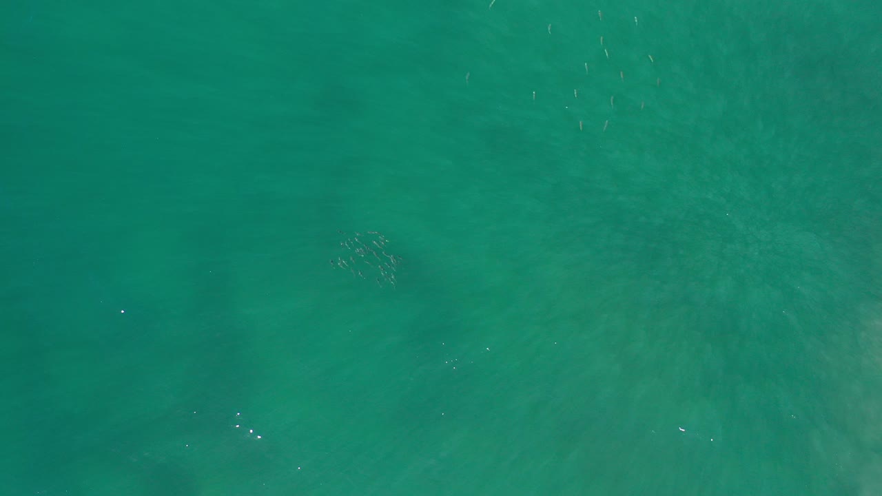 Overhead view of green water in Los Cabos, Mexico, with faint ripples, soft surface glare, and no visible people.