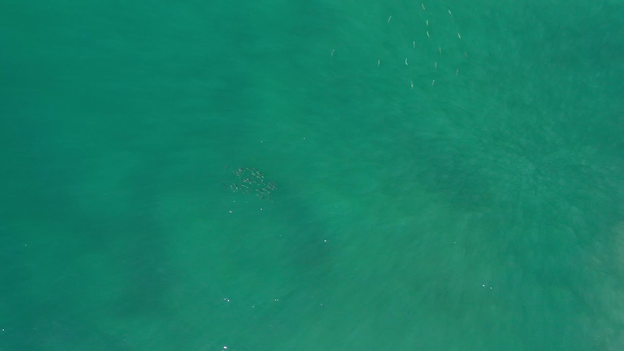 Overhead water view with a small fish-like cluster near the upper area.