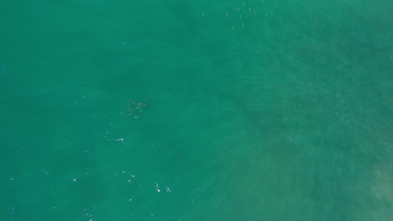 Top-down aerial view of green water in Los Cabos, Mexico, with soft pale underwater texture and no visible people.