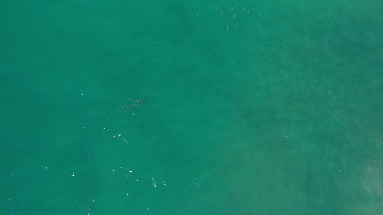 Aerial Los Cabos water frame showing a green-blue surface, scattered tiny highlights, and no visible people.