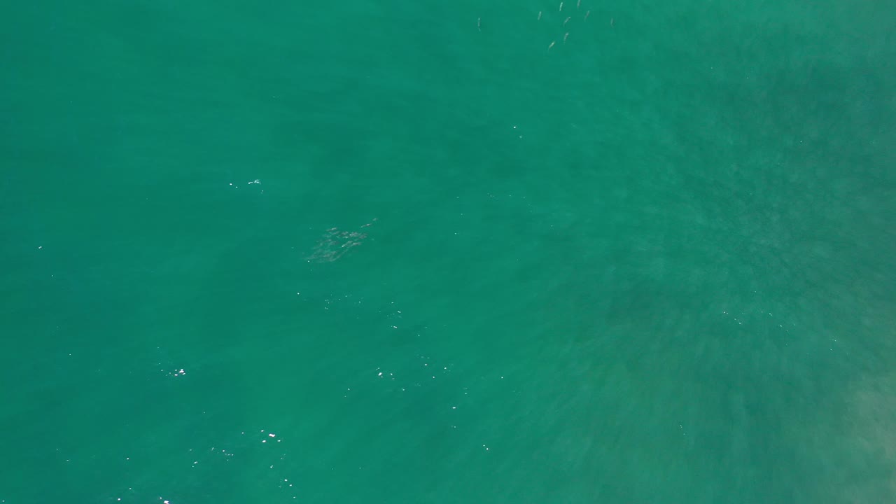 Full-frame green water with darker cloudy texture beneath.