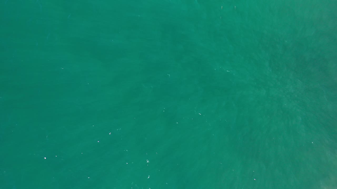 Overhead water texture with tiny bright surface marks.