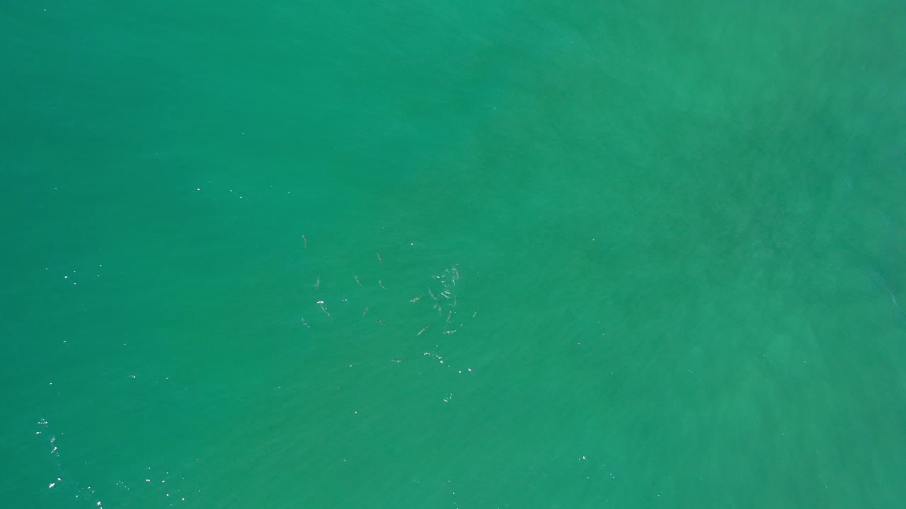 Teal ocean water with faint underwater texture