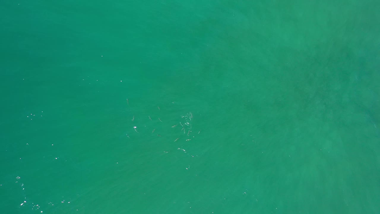Aqua and green-blue ocean surface in Los Cabos, Mexico, with scattered white reflections near the left side and no visible people.
