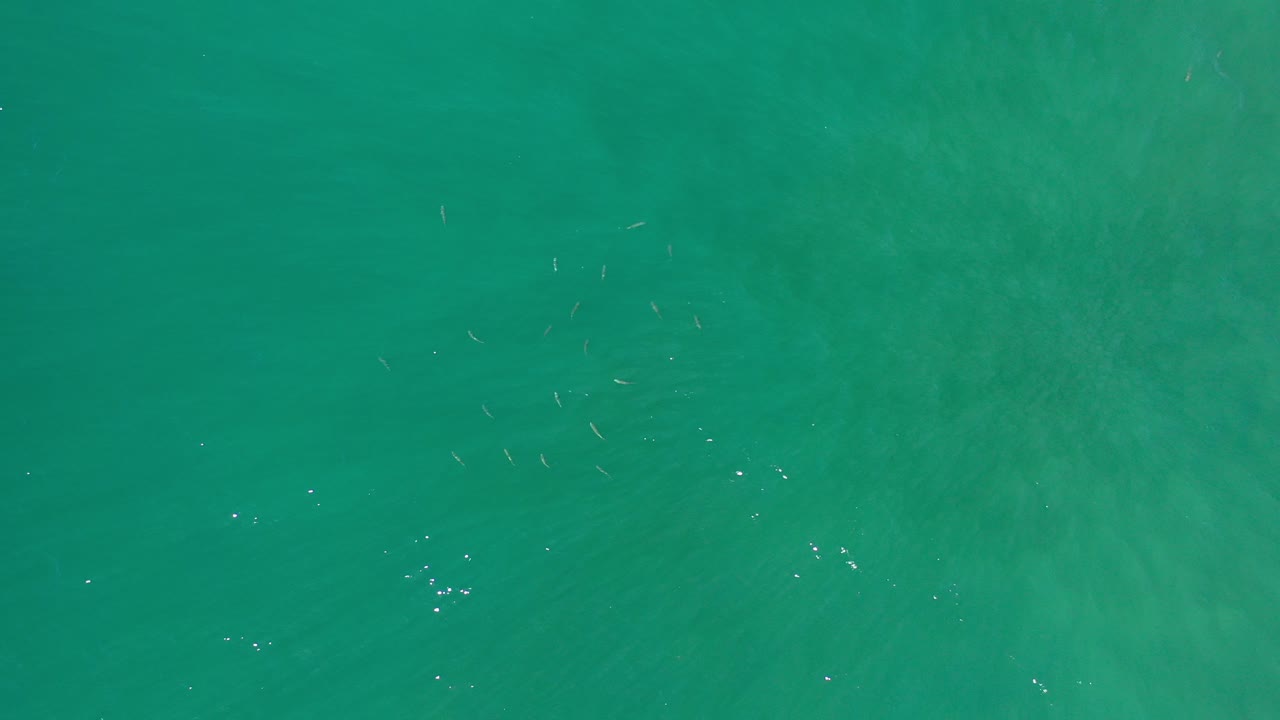Overhead view of turquoise seawater in Los Cabos, Mexico, with faint ripples and no visible people at the start of the clip.