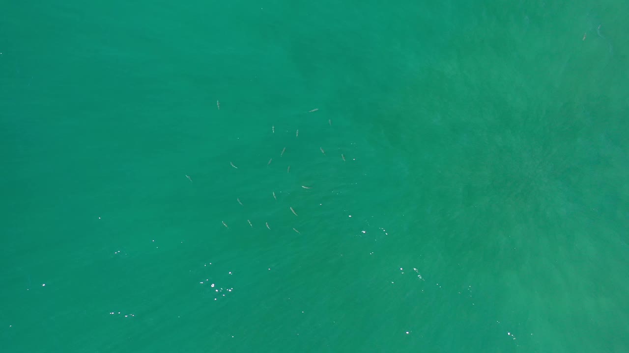 Green-blue seawater fills the Los Cabos frame, with small sun flecks near the surface and no visible people.