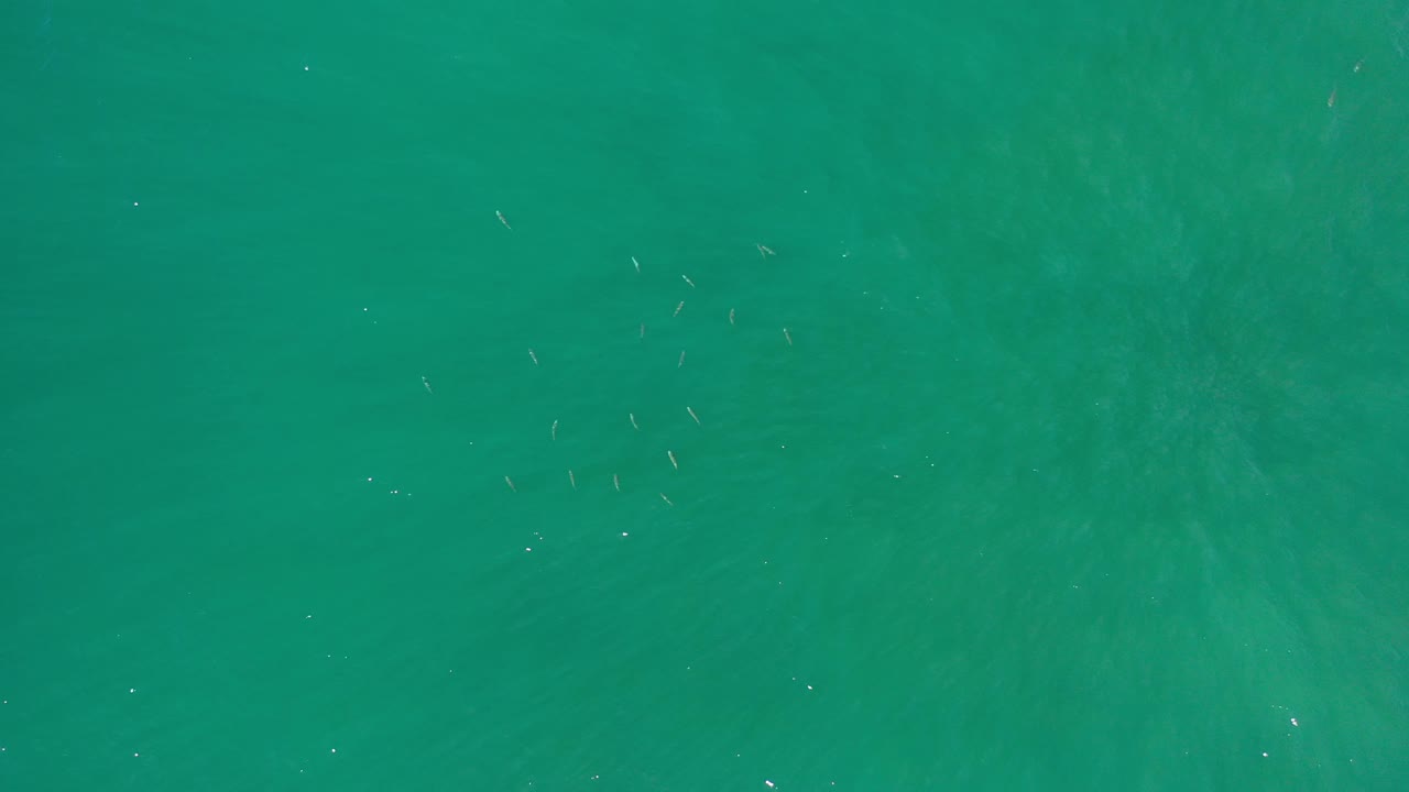 Calm turquoise water with pale underwater shading.