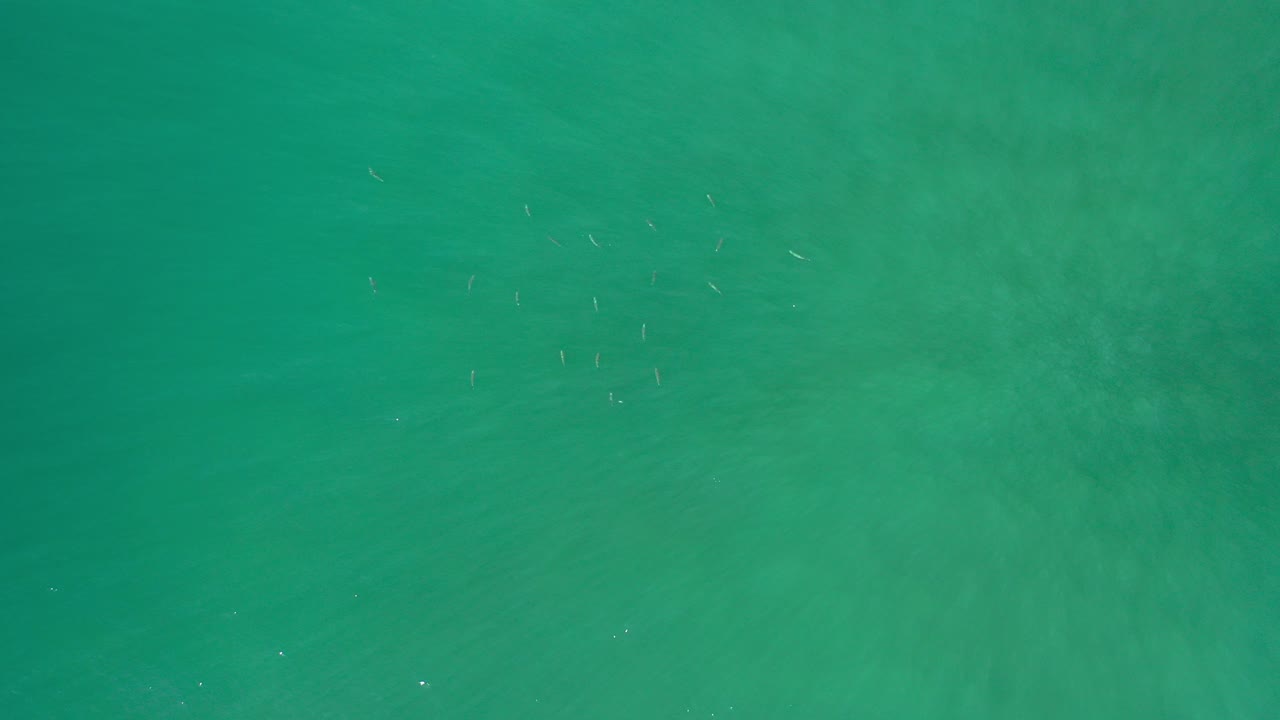 Overhead green ocean water with faint sun glints.
