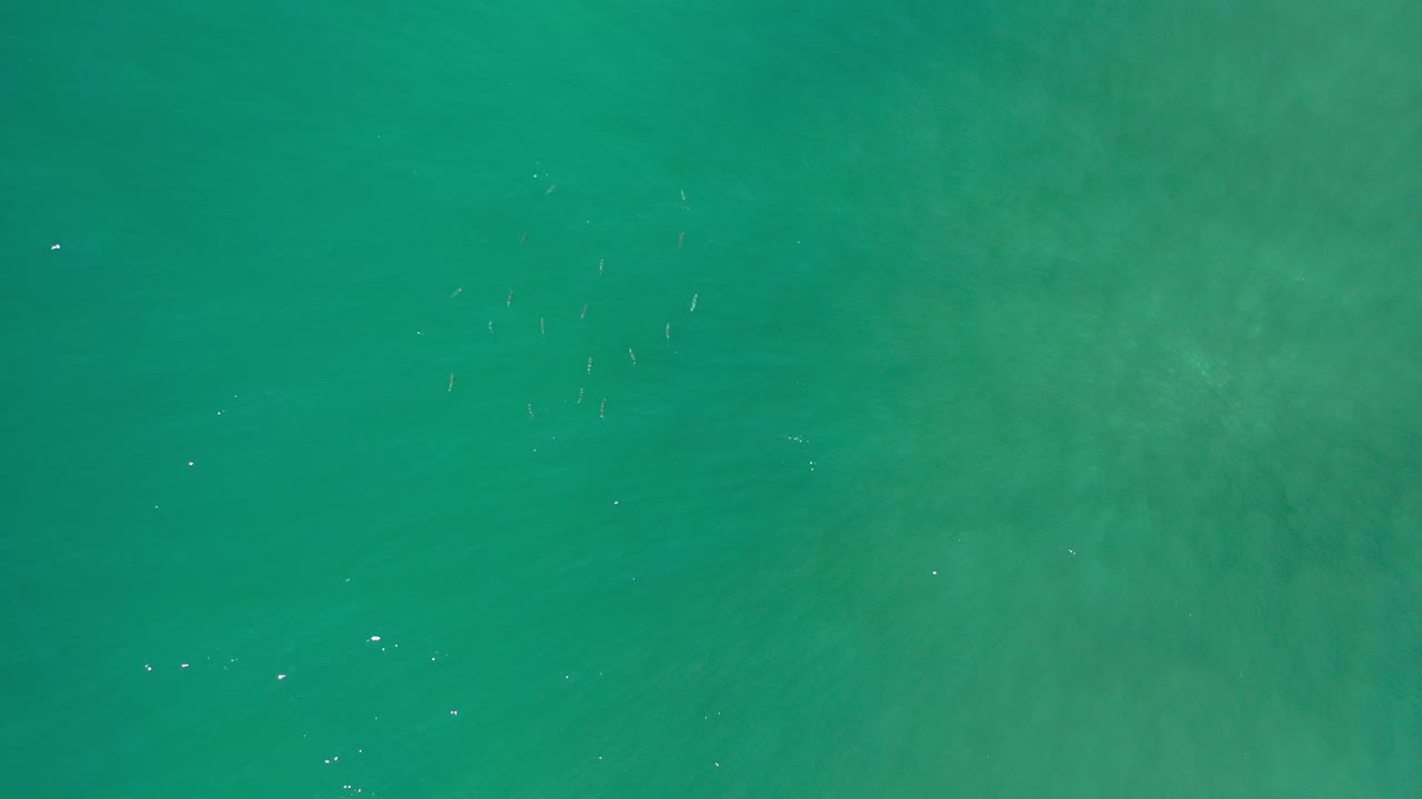 Opening overhead frame of green ocean water in Los Cabos, Mexico, with faint pale fish specks and no visible people.
