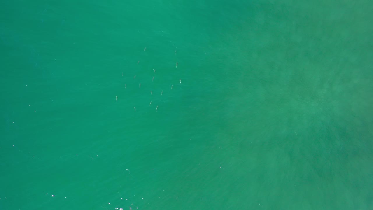 Open turquoise-green ocean with soft depth variation