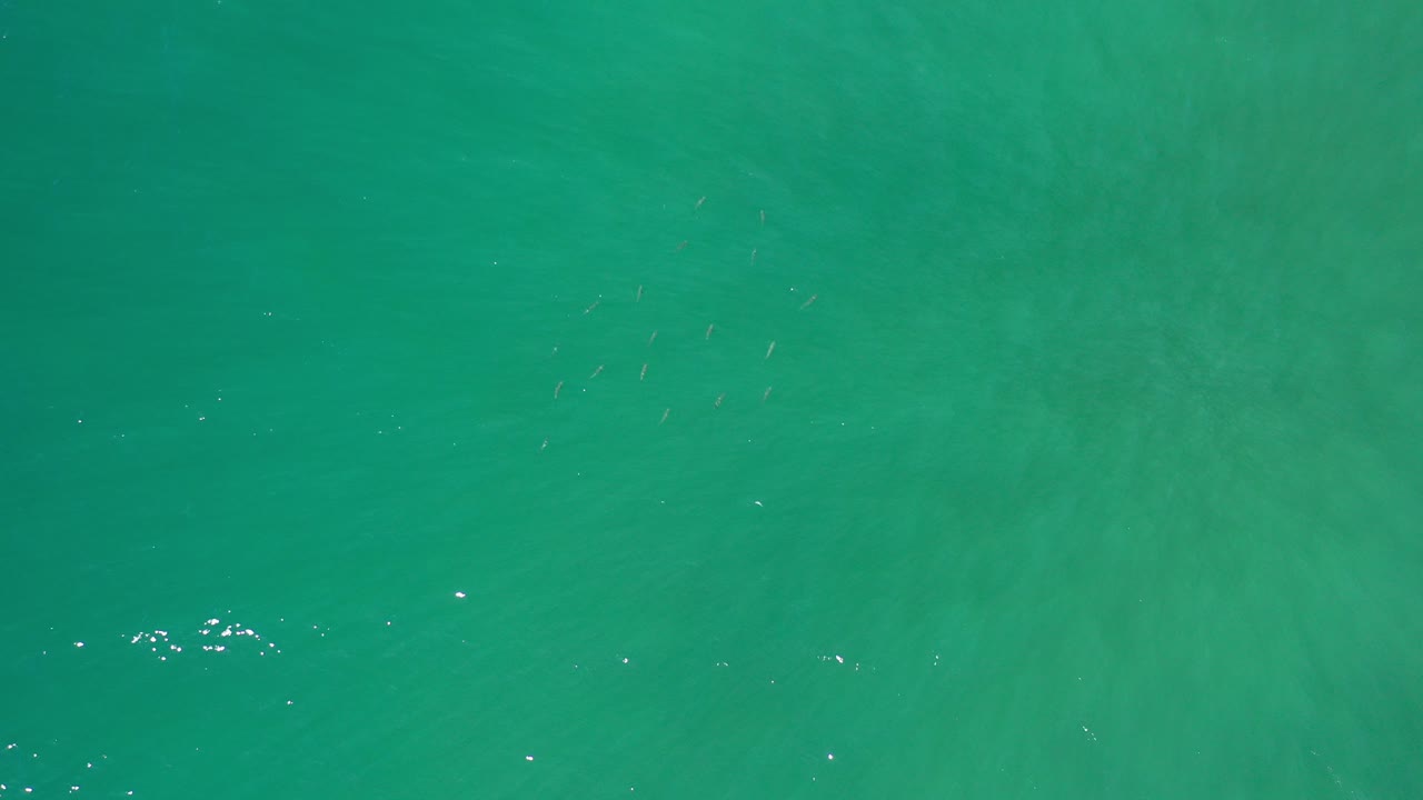 Top-down view of turquoise water in Los Cabos, Mexico, with faint ripples and no visible people at the start of the clip.