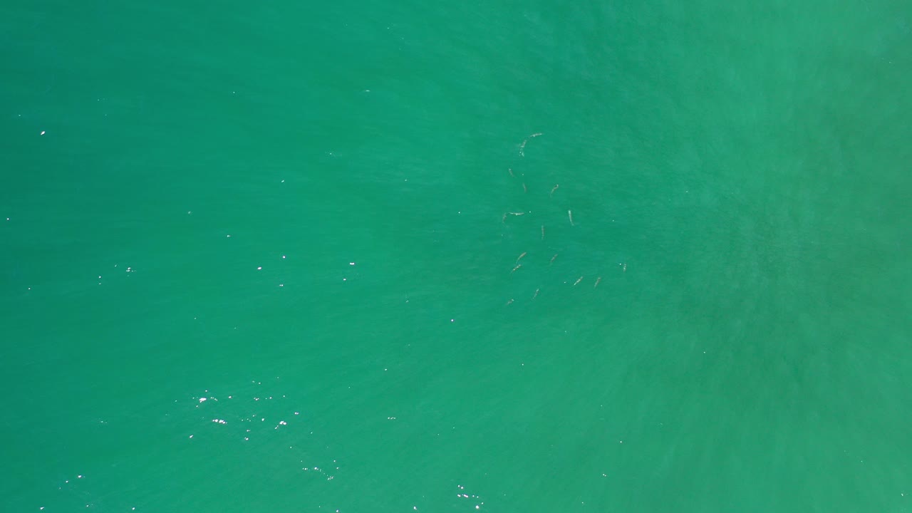 Green ocean water with small sun glints.