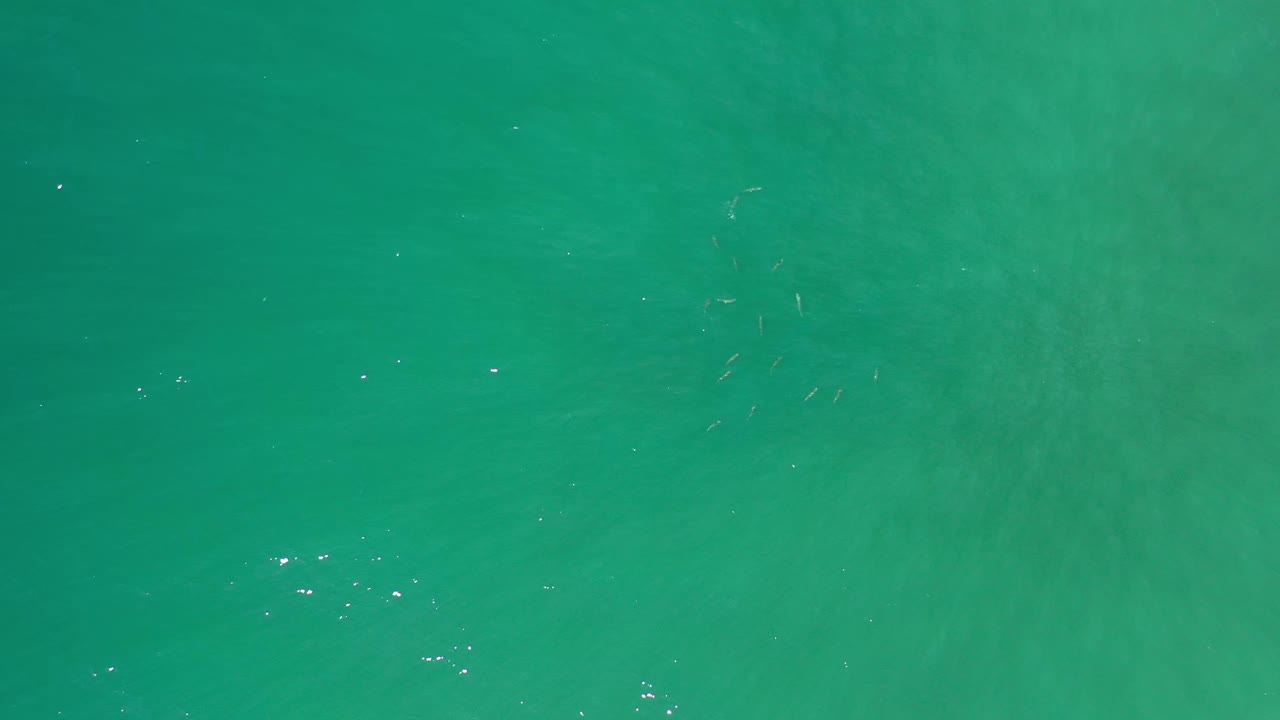 Turquoise sea water in Los Cabos fills the image, with soft surface texture, a few bright sparkles, and no visible people or land.