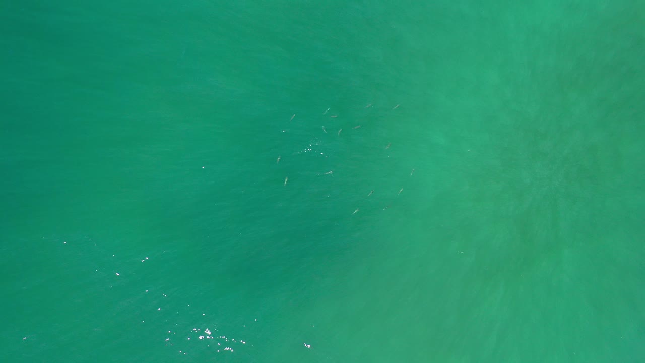 Opening frame of blue-green ocean water in Los Cabos, Mexico, viewed from above with faint surface ripples, soft tonal patches, and no visible people.